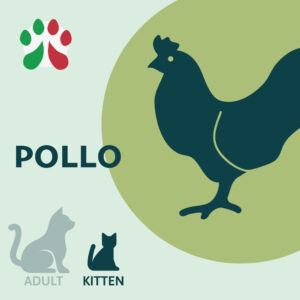 Pollo Kitten, sacco 5kg (per gatti)