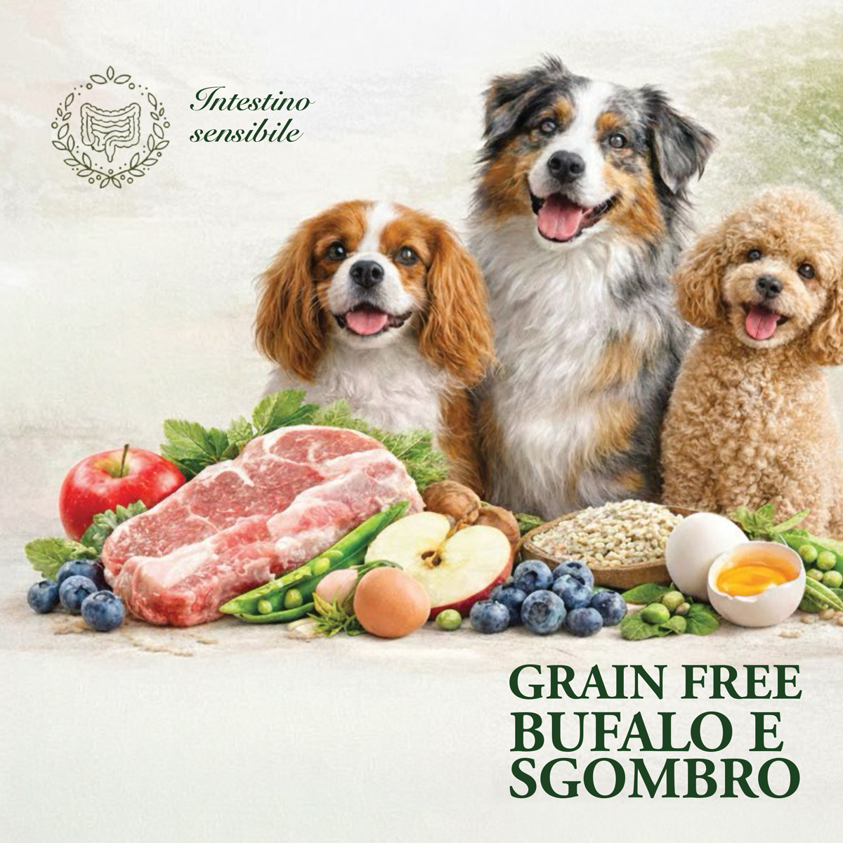 GRAIN FREE Bufalo e Sgombro, Adult, sacco 2kg - immagine 1
