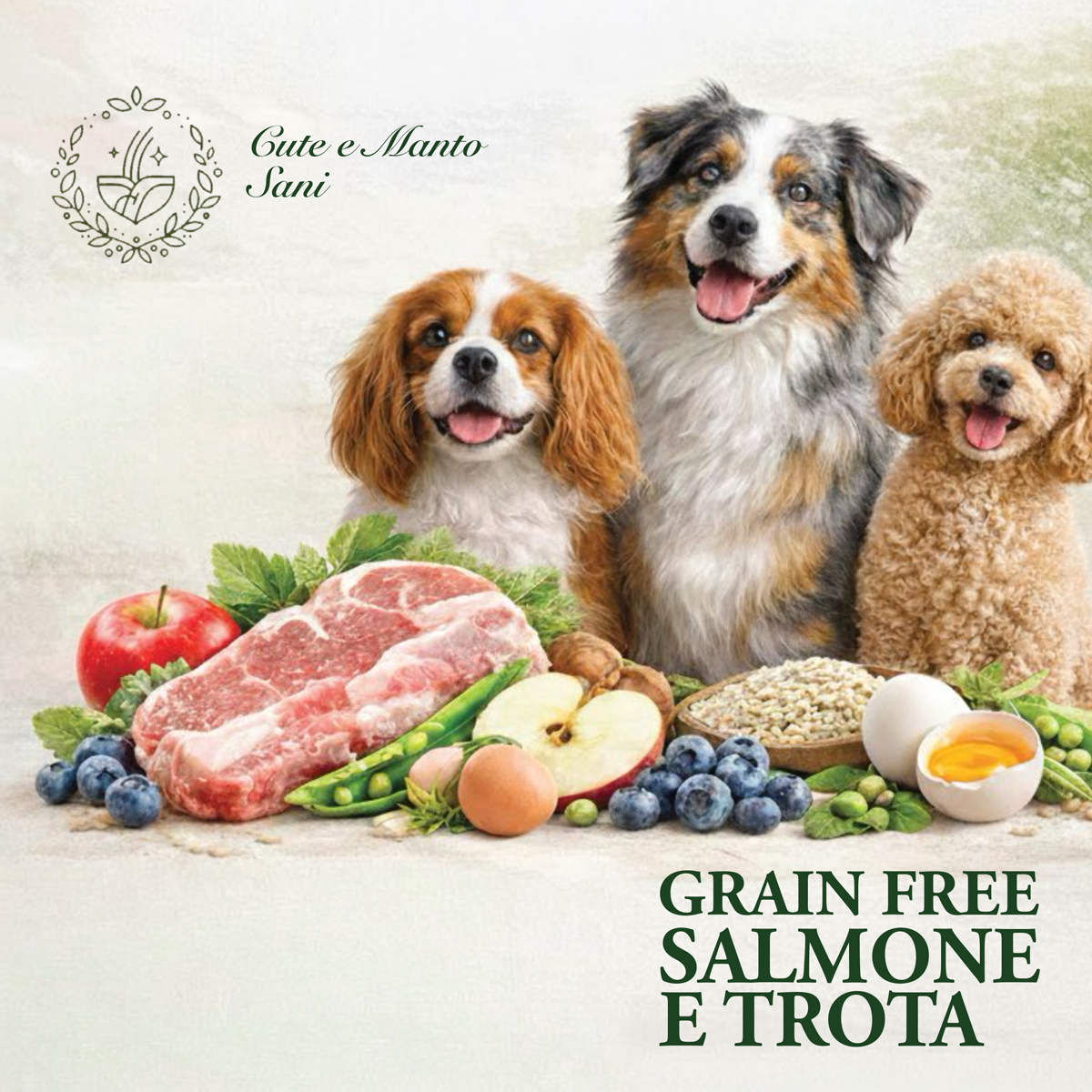 GRAIN FREE Salmone e Trota, Adult, sacco 2kg - immagine 1