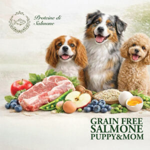 GRAIN FREE Salmone, Puppy&Mom, sacco 10kg