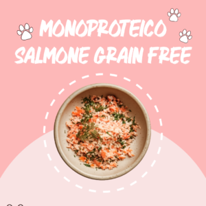 Umido Monoproteico Salmone Grain Free - Adult - 400g